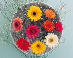 Tapeta Nature Flowers 612.jpg